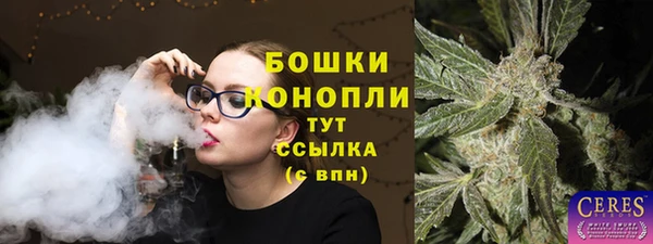 СК Балахна