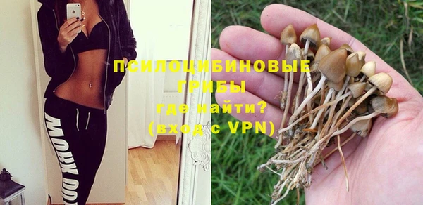 СК Балахна
