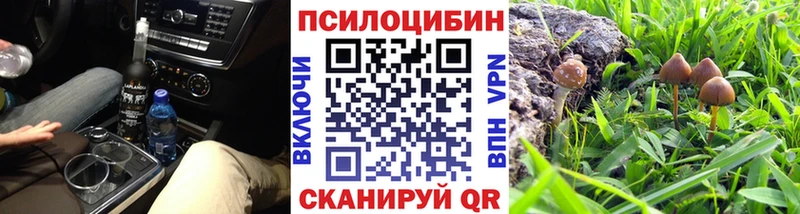 Псилоцибиновые грибы Psilocybe Пересвет